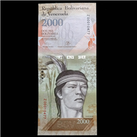 REPOSICIÓN BSF 2.000